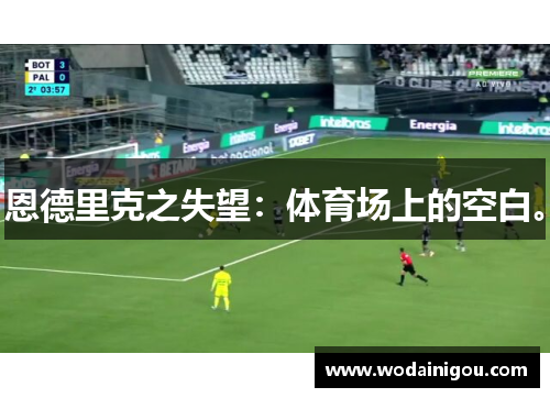 恩德里克之失望：体育场上的空白。